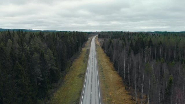 Aerial, drone shot, flying along a road, between pine trees and leafless birch forest, on a cloudy, autumn day, in Juuka, North Karelia, Finland
