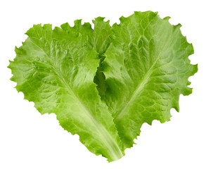 lettuce leaves Clipping Path