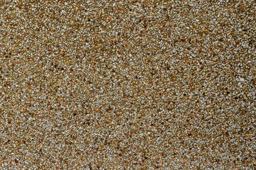 Texture of pebble stones wall for background.
