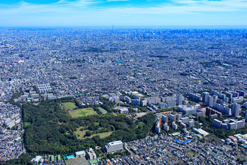 光が丘公園／郊外の住宅地、空撮、2018撮影