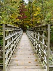 Footbridge in park