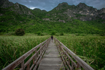 Fototapeta na wymiar Background of the wooden bridge view (green meadows, mountains, trees). Beautiful nature wallpaper, often seen during the travel.