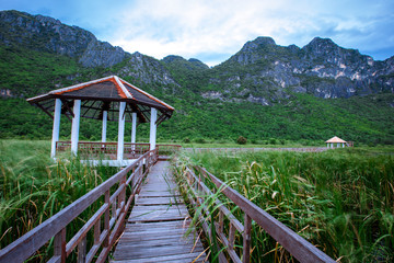 Obraz premium Backgrounds of green pastures, high mountains, large surrounds, natural wallpapers close. There is a long wooden bridge overlooking the surrounding scenery.