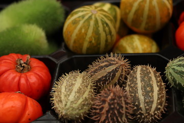 Autumn Decoration pumpkins