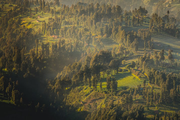 View of Cemara lawang village or Cemoro Lawang; small village in morning mist. Which situated on the edge of massive north-east of Mount Bromo, East Java, Indonesia