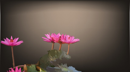 Lotus flower lotus background illustration