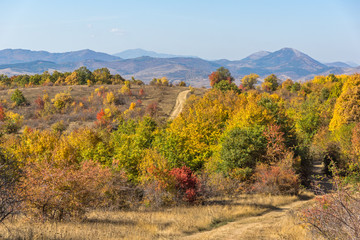 Amazing Autumn Panorama of Cherna Gora (Monte Negro) mountain, Pernik Region, Bulgaria