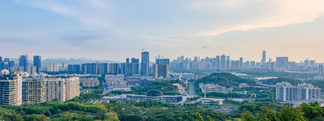 Shenzhen City Skyline