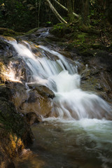 Obraz premium A Little Waterfall In A Forest