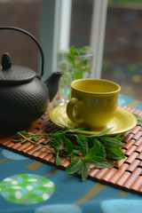 Yellow tea cup with spearmint