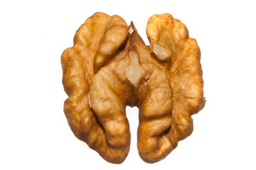 nut isolated on white background