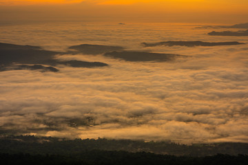 Beautiful landscape with mist