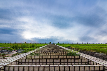 Fototapety na wymiar - Fototapeta24.pl