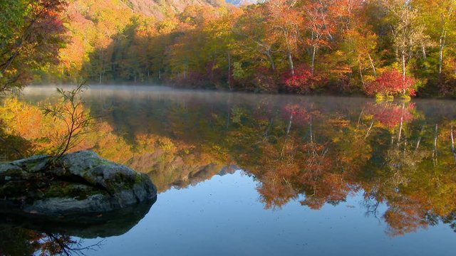 長野県小谷村の鎌池の紅葉
