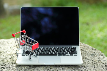 trolley with computer, idea for shopping and online payment using as business background