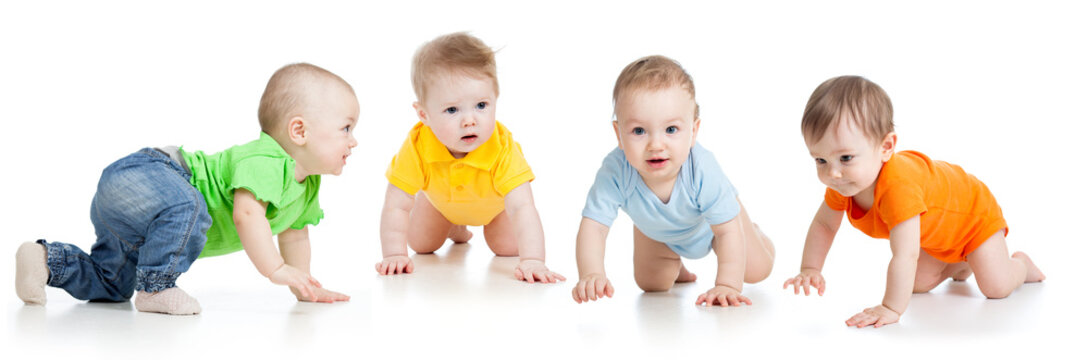 Group of cute babies crawling on floor. Isolated on white.