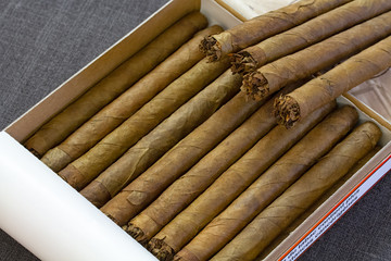 cigar on black background