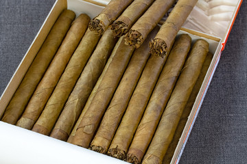 cigar on black background