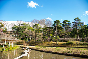 Fototapeta na wymiar Landscape of Koishikawa Korakuen Park