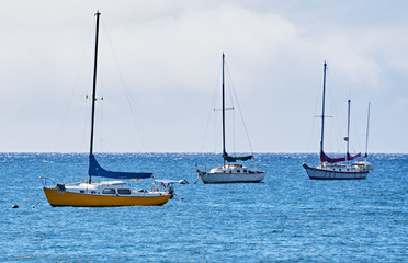 Sailboats off the coast of maui hawaii