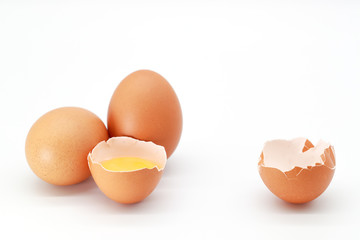 eggs on isolated and white background.
