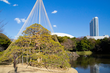 Landscape of Koishikawa Korakuen Park