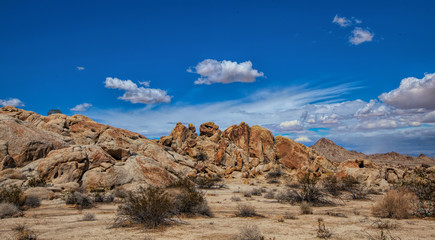 Rocky Desert Vista, Joshua Tree National Park