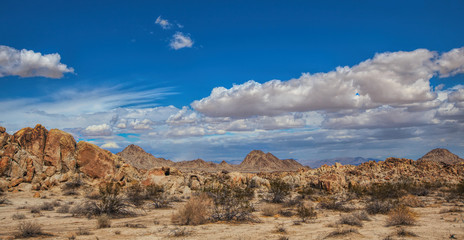 Fototapeta na wymiar Desert Vista
