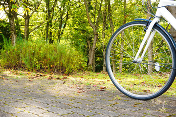 Fototapeta na wymiar Bicycle and nature　自転車と自然