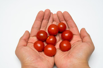 Small cherry tomato close up in the hands