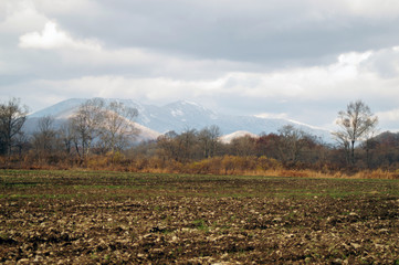autumn field at the foot of the mountains