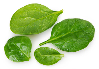Fresh spinach on white background