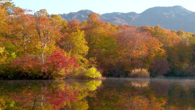 長野県小谷村の鎌池の紅葉