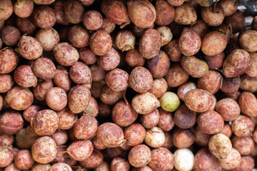 Bambara groundnut or peanut of Thailand , Top view