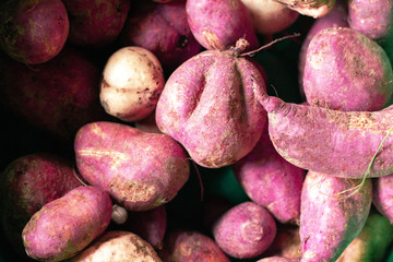 Fresh purple yams pile to view.