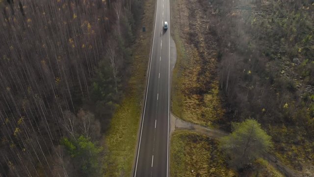 Aerial, tilt, drone shot, following a car, on a dark, asphalt road, between pine trees and leafless, birch forest, sun flares, on a sunny autumn day, in Juuka, North Karelia, Finland