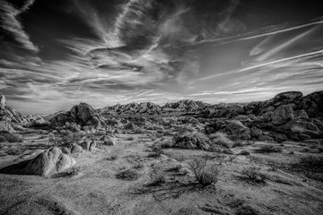 Rocky Desert Landscape, Joshua Tree National Park