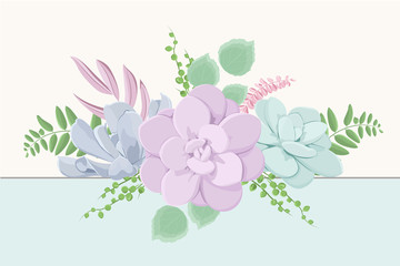 Echeveria succulent flowers fern greenery mix bouquet composition. Floral design garland foliage element in pastel colors. Isolated on white blue background. Vector design illustration.
