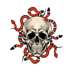 skulls with snakes and roses. Hand drawn. Vintage style