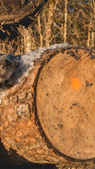 Beautiful alpine winter view at Ramsau - Bavaria - Germany