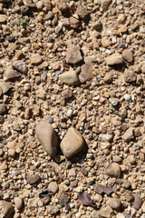 Closeup of pebbles on the ground under sunlight. Vertical view.