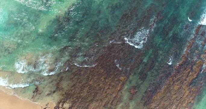 Jefferys Bay Coastline in South Africa