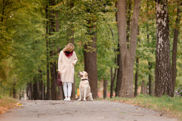 Fototapeta na wymiar A woman walks with her labrador in the fall.