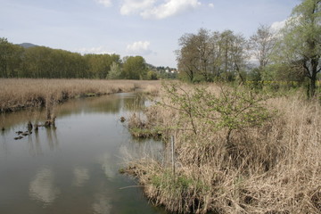 riflessi di malinconia