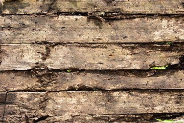 Old wood background texture background, wood planks,The wood is decaying. close-up