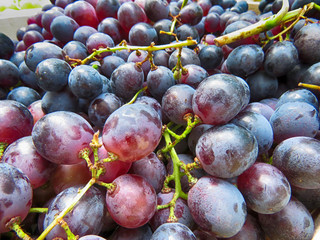 Fresh grapes on the market