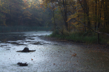 Jesienne bagno © Tomek Kiecana