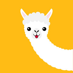 Llama alpaca animal face neck. Cute cartoon funny kawaii character. Fluffy hair fur. T-shirt, greeting card, poster template print. Childish baby collection. Flat design. Yellow background. © worldofvector