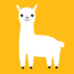 Llama alpaca animal. Cute cartoon funny kawaii character. Fluffy hair fur. Childish baby collection. T-shirt, greeting card, poster template print. Flat design. Yellow background. Isolated.