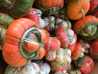 Close up of a variety of Fall pumpkins